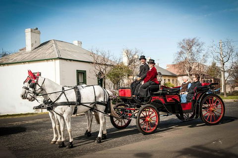 Trot Through Time - Accommodation Search 0