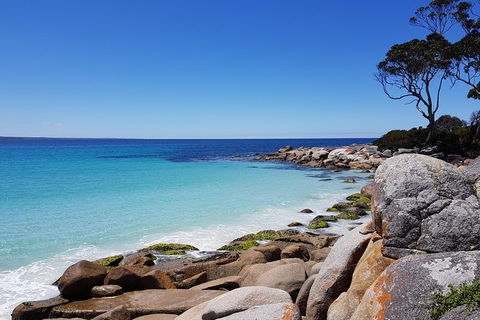 Tasmania 4 Day East Coast + Launceston - Accommodation Search 0