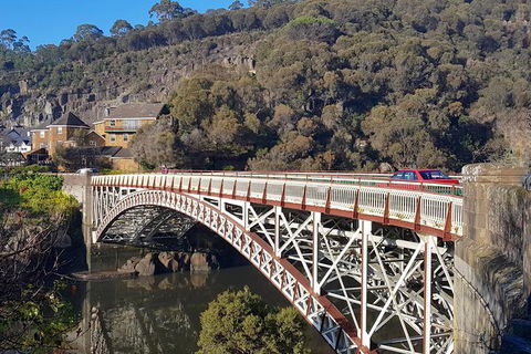 Tasmania 4 Day East Coast + Launceston - Accommodation Search 6