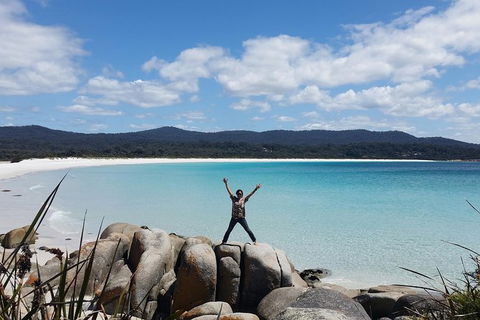 Tasmania 4 Day East Coast + Launceston - Accommodation Search 5