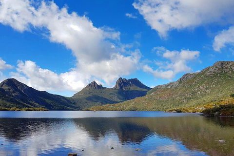 Tasmania 13 Day Premium Tour - Accommodation Search 0