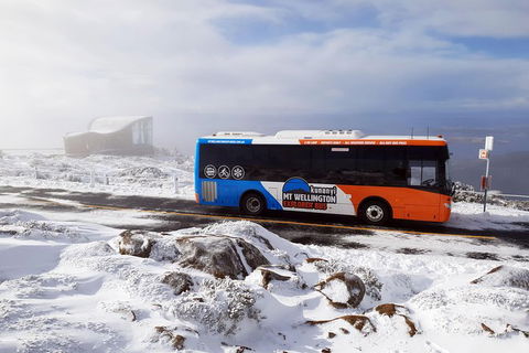 Kunanyi/Mt Wellington Tour & Hobart Hop-On Hop-Off Bus - Accommodation Search 4