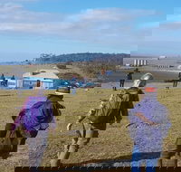 4-Day Hobart Adventure Tour Maria Island Cape Raoul Mount Field Cape Hauy - Accommodation Search