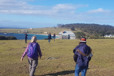 4-Day: Hobart Adventure Tour: Maria Island, Cape Raoul, Mount Field, Cape Hauy - Accommodation Search 0