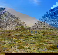 3-Day Hobart Adventure Tour Mount Field Cape Hauy and Hartz Peak - Accommodation Search