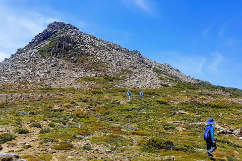 3-Day: Hobart Adventure Tour: Mount Field, Cape Hauy And Hartz Peak - Accommodation Search 0