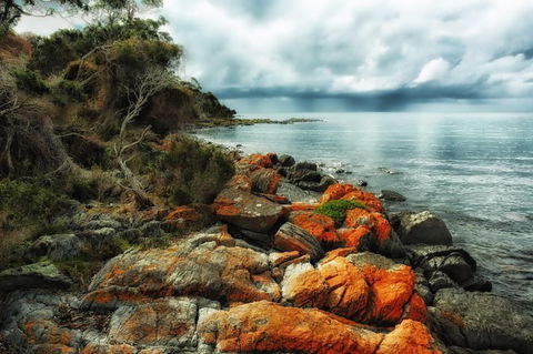 Hobart\'s Best: City, Nature, Wildlife, And Fine Cuisine - Accommodation Search 6
