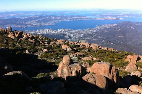 Mt Wellington ULTIMATE Tour, Most Comprehensive/ Best Value - Accommodation Search 1