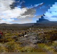 6-Day Overland Track PhotoTour - Accommodation Search