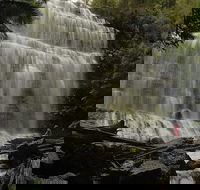 Guided Shore Excursion Mt Field National Park Salmon Ponds Bonorong Wildlife - Accommodation Search