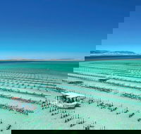 Coffin Bay Day Tour - A Taste of Coffin Bay - Accommodation Search