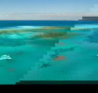 Great Barrier Reef Dive and Snorkel Cruise from Mission Beach - Accommodation Search