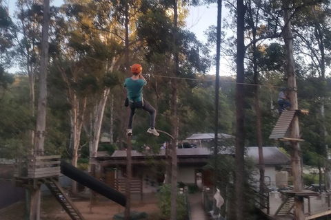 Tamborine Mountain Daily Service, Treetop Challenge And Thunderbird Park - Accommodation Search 1