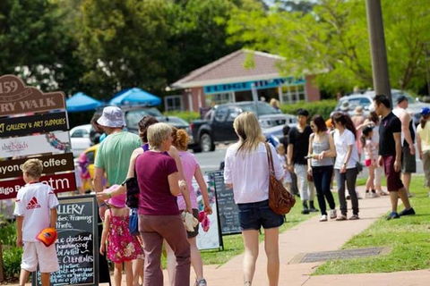Tamborine Mountain Daily Service, Treetop Challenge And Thunderbird Park - Accommodation Search 6