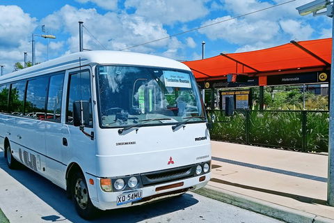 Tamborine Mountain Daily Service, Treetop Challenge And Thunderbird Park - Accommodation Search 10