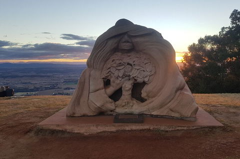 Tamborine Mountain Daily Service, Treetop Challenge And Thunderbird Park - Accommodation Search 11