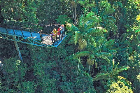 Tamborine Mountain Daily Service, Treetop Challenge And Thunderbird Park - Accommodation Search 12