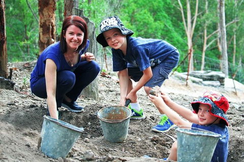 Tamborine Mountain Daily Service, Treetop Challenge And Thunderbird Park - Accommodation Search 8