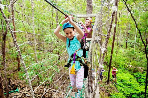 Tamborine Mountain Daily Service, Treetop Challenge And Thunderbird Park - Accommodation Search 4