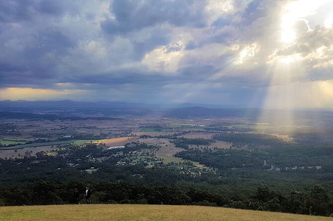 Tamborine Mountain Daily Service, Treetop Challenge And Thunderbird Park - Accommodation Search 3