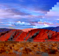 Uluru and Kata Tjuta Experience with BBQ Dinner - Accommodation Search