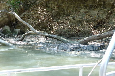 Kakadu Full-Day Tour From Darwin With Lunch - Accommodation Search 2