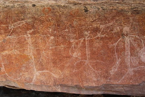 Kakadu Full-Day Tour From Darwin With Lunch - Accommodation Search 1