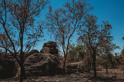 Kakadu Full-Day Tour From Darwin With Lunch - Accommodation Search 6