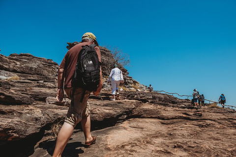 Kakadu Full-Day Tour From Darwin With Lunch - Accommodation Search 5