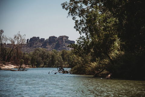 Kakadu Full-Day Tour From Darwin With Lunch - Accommodation Search 8