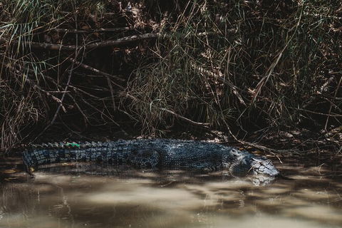 Kakadu Full-Day Tour From Darwin With Lunch - Accommodation Search 13