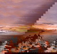 Darwin Harbour Sunset Cruise with Optional Buffet Dinner - Accommodation Search