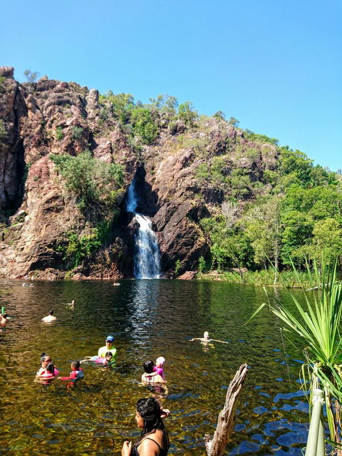 Litchfield And Jumping Crocodiles Full Day Trip From Darwin - Accommodation Search 3