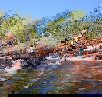 Litchfield and Jumping Crocodiles Full Day Trip from Darwin - Accommodation Search