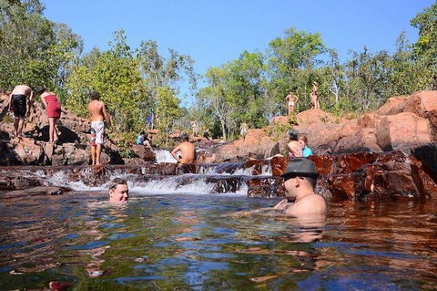 Litchfield And Jumping Crocodiles Full Day Trip From Darwin - Accommodation Search 0