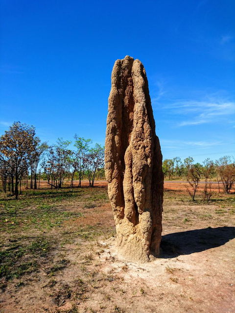 Litchfield And Jumping Crocodiles Full Day Trip From Darwin - Accommodation Search 4