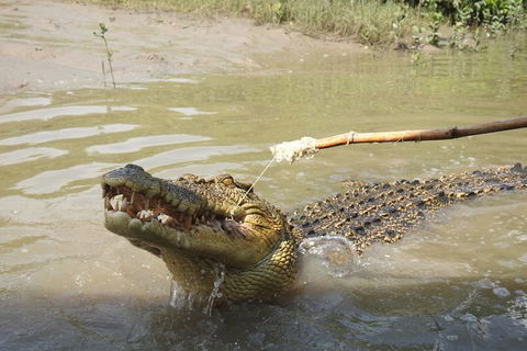 Litchfield And Jumping Crocodiles Full Day Trip From Darwin - Accommodation Search 17