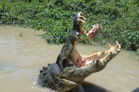 Litchfield And Jumping Crocodiles Full Day Trip From Darwin - Accommodation Search 18