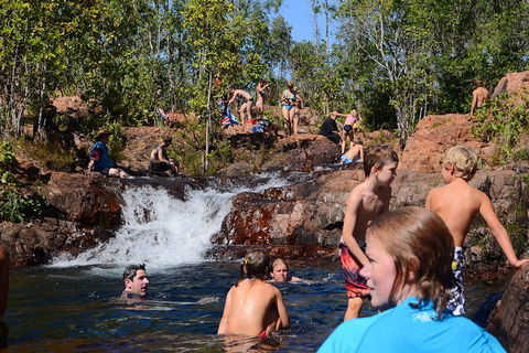 Litchfield And Jumping Crocodiles Full Day Trip From Darwin - Accommodation Search 10
