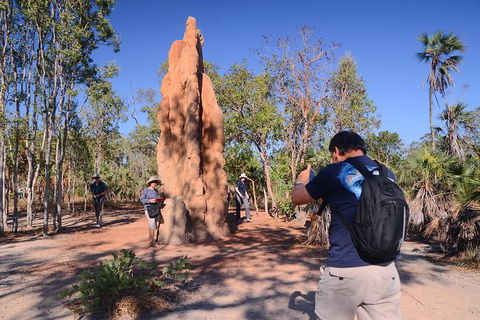 Litchfield And Jumping Crocodiles Full Day Trip From Darwin - Accommodation Search 16