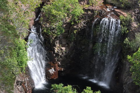 Litchfield And Jumping Crocodiles Full Day Trip From Darwin - Accommodation Search 8