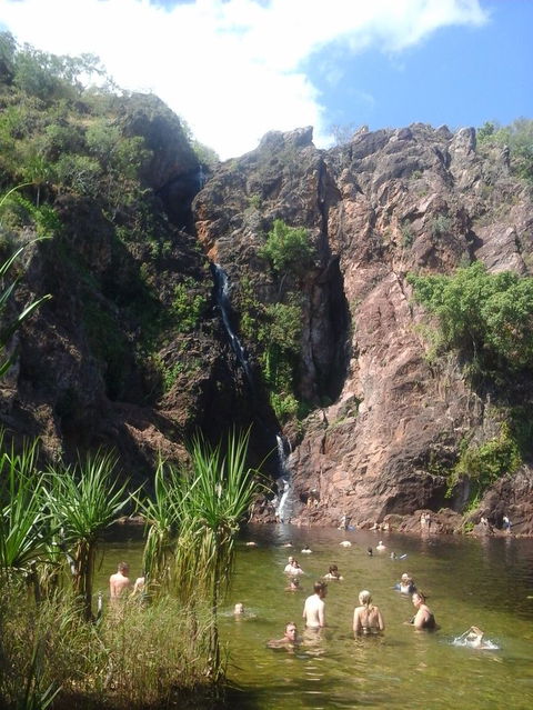Litchfield National Park Day Tour From Darwin - Accommodation Search 6