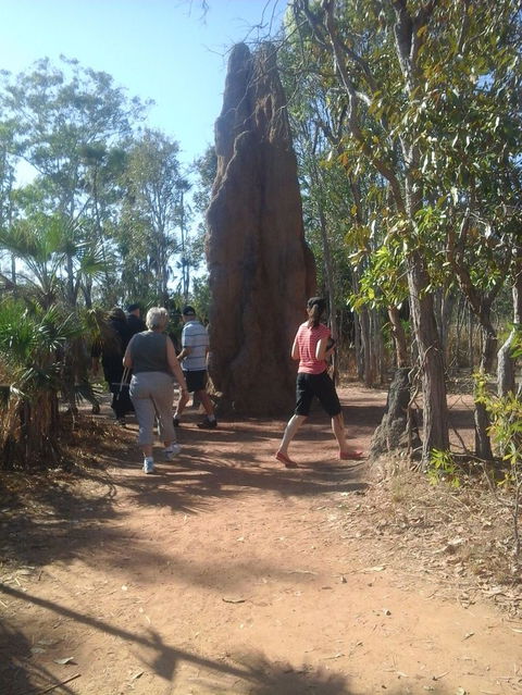 Litchfield National Park Day Tour From Darwin - Accommodation Search 14