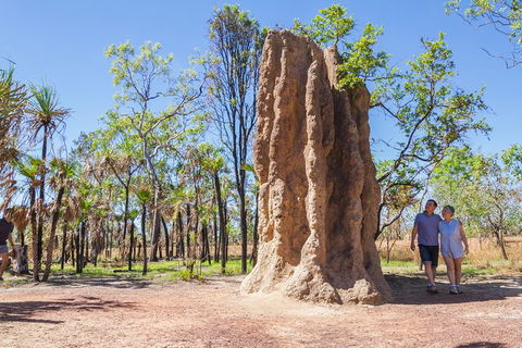 Litchfield National Park Day Tour From Darwin - Accommodation Search 22