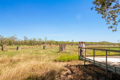 Litchfield National Park Day Tour From Darwin - Accommodation Search 18