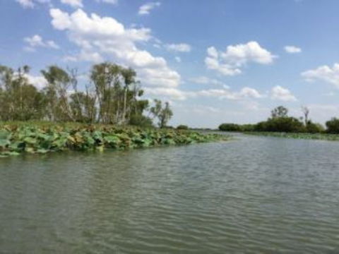 1 Day Corroboree Billabong Wetland Experience Including 2.5 Hour Cruise + Lunch - Accommodation Search 4