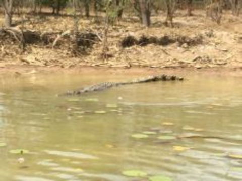 1 Day Corroboree Billabong Wetland Experience Including 2.5 Hour Cruise + Lunch - Accommodation Search 5