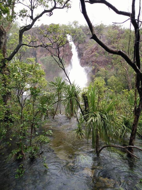 Small-Group Litchfield National Park Day Trip From Darwin - Accommodation Search 6
