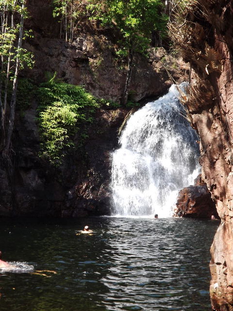 Small-Group Litchfield National Park Day Trip From Darwin - Accommodation Search 13