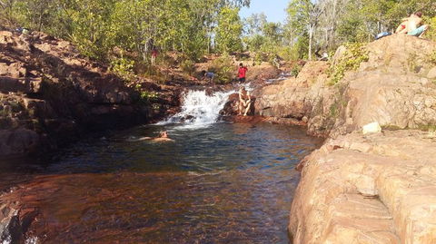 Small-Group Litchfield National Park Day Trip From Darwin - Accommodation Search 12